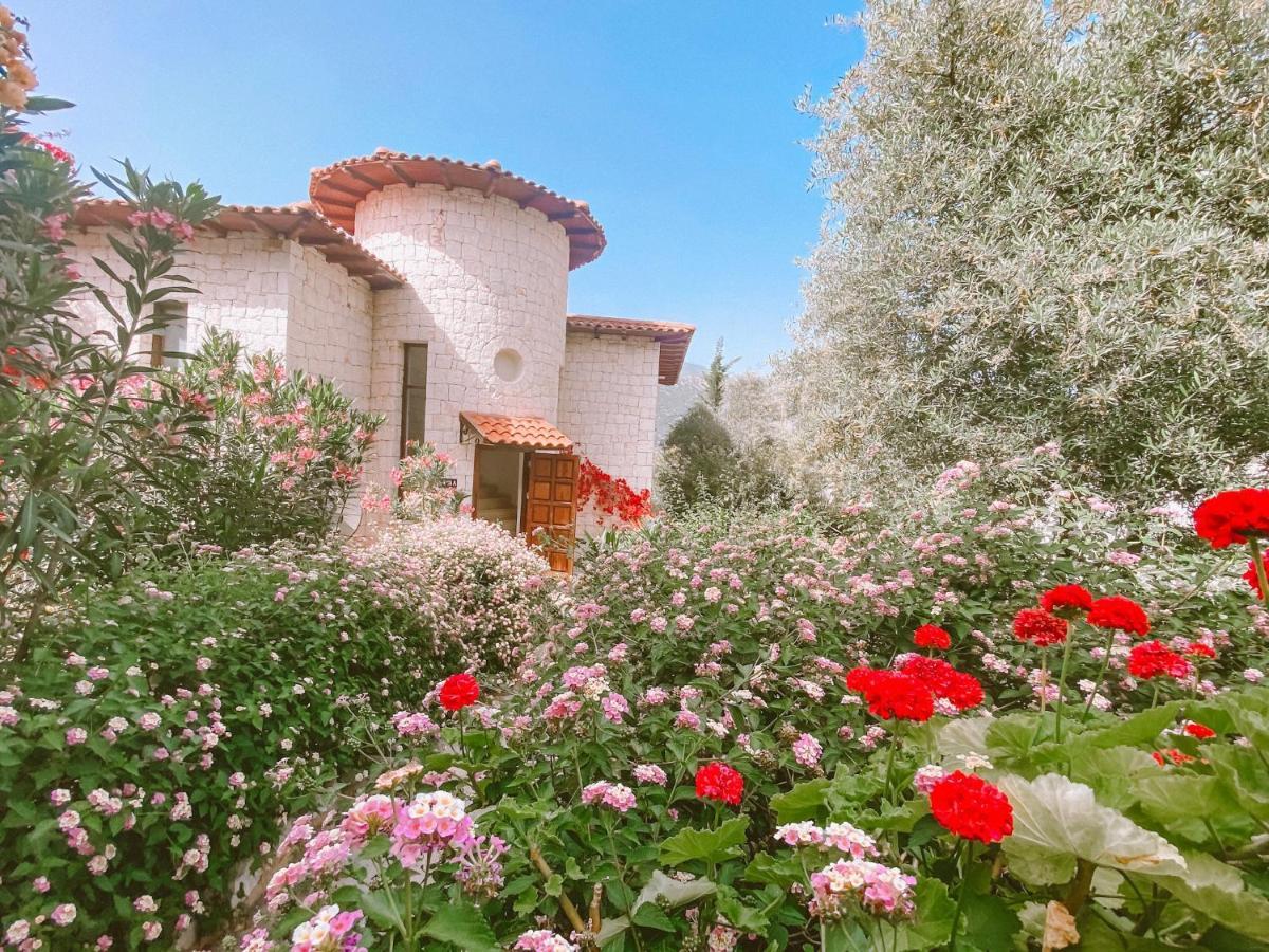 Club Barbarossa Villas קס