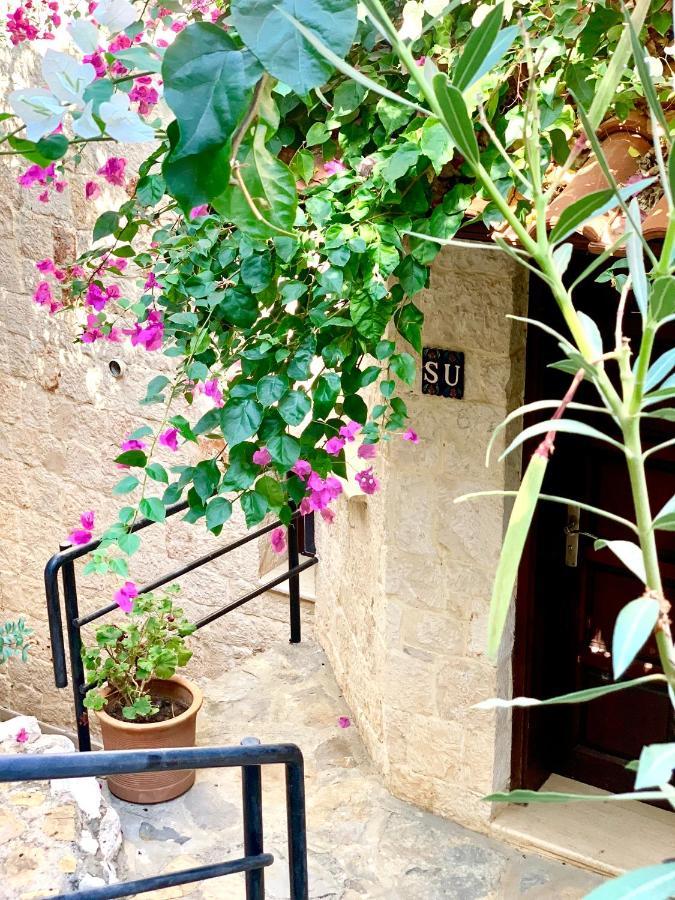 Club Barbarossa Villas קס