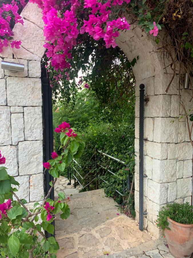 Villa Club Barbarossa Villas Kas
