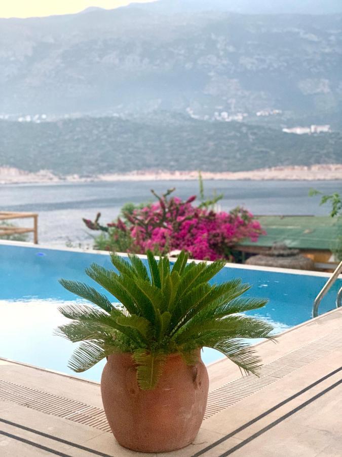 Villa Club Barbarossa Villas Kas